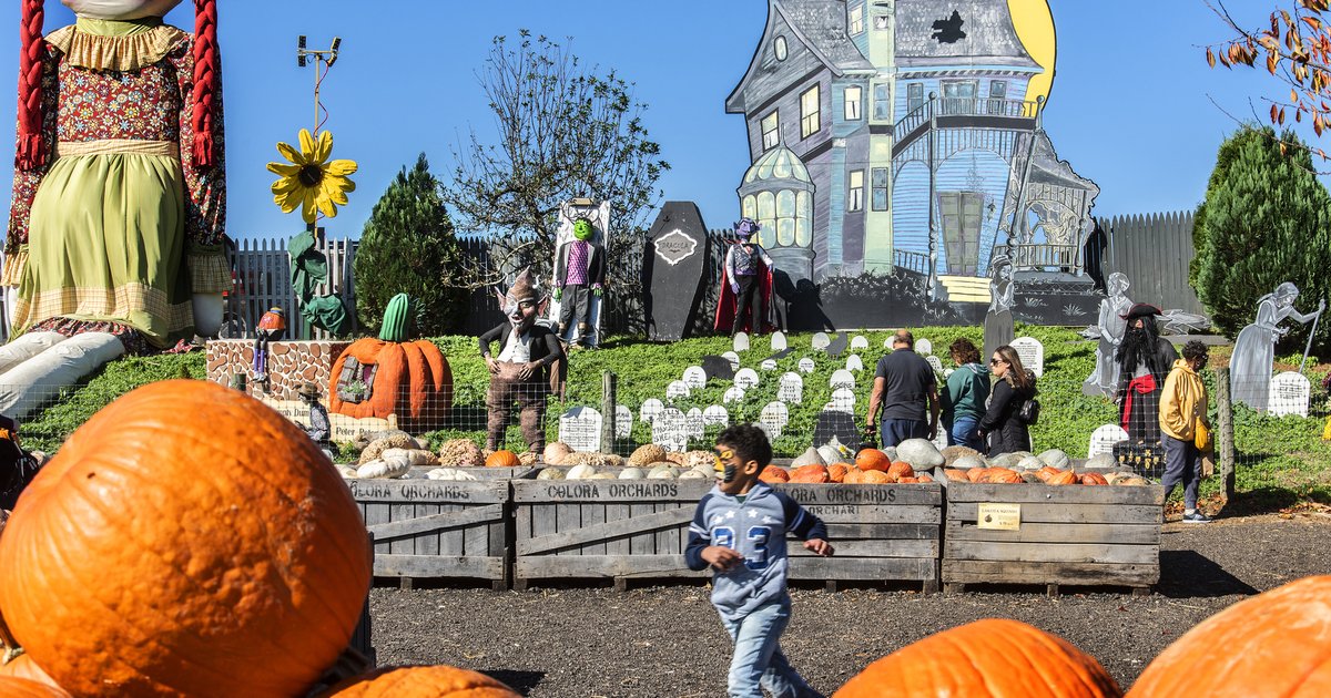Linvilla Orchards' Pumpkinland runs through Nov. 8 with hayrides, corn mazes and free admission