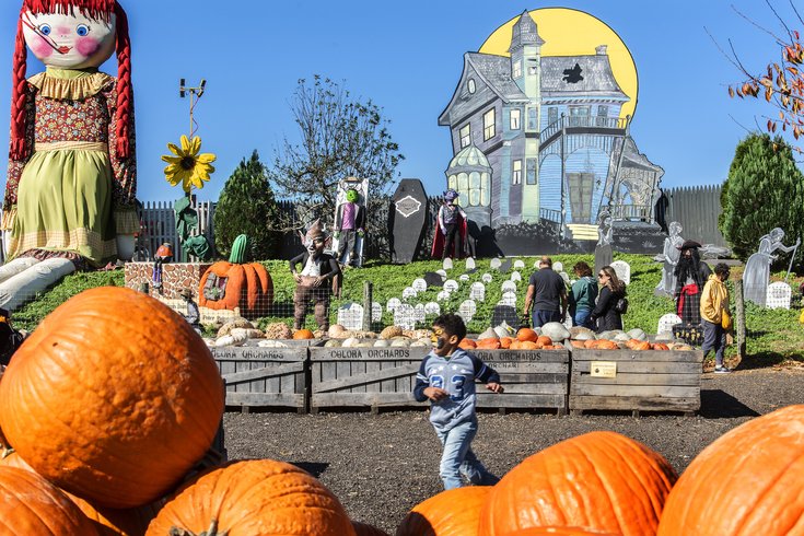 Linvilla Orchards - Pumpkinland