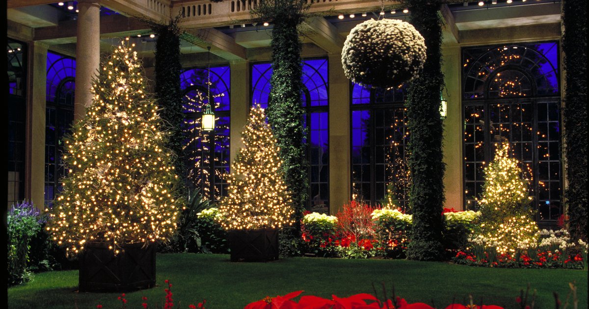 Longwood Gardens Christmas light show | PhillyVoice