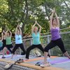 Yoga Out on a Limb