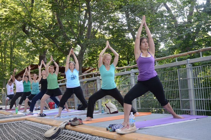 Yoga Out on a Limb