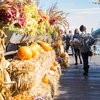 Morgan's Pier Fall Fest
