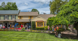 Limited - Peddler's Village
