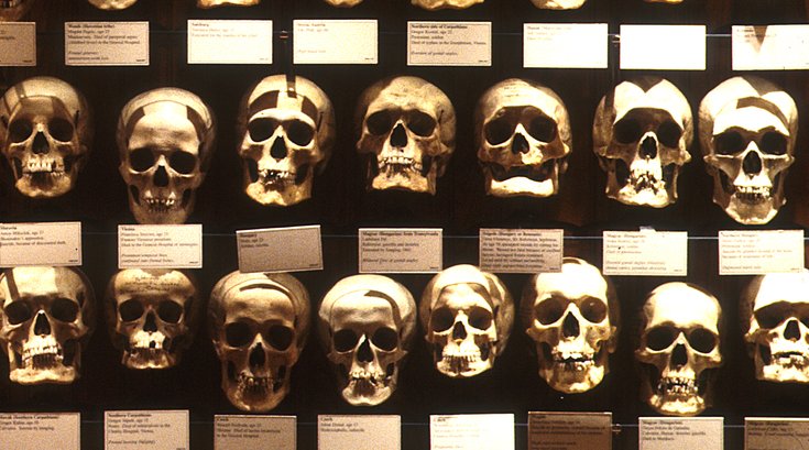 Mutter Museum