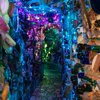 Magic Gardens After Dark 1