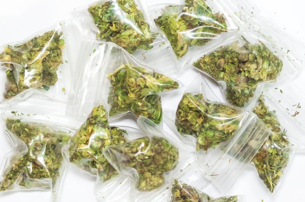 Marijuana Alcohol