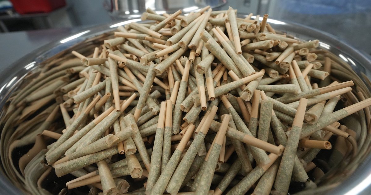 Trump reclassifies marijuana, easing federal restrictions but stopping short of legalization