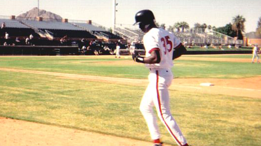 Michael Jordan Baseball