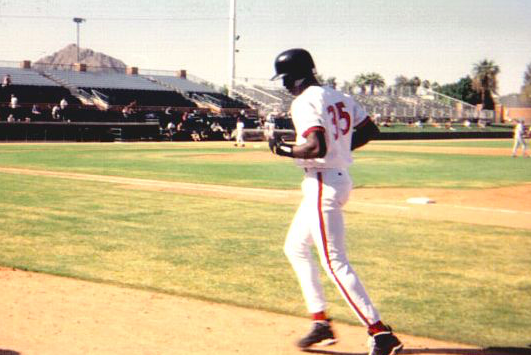 Michael Jordan Baseball