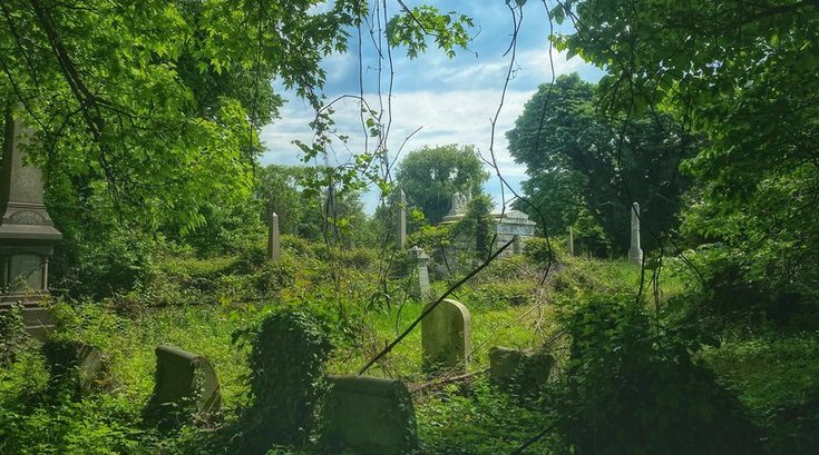 Mount Vernon Cemetery purchase