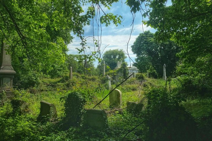 Mount Vernon Cemetery purchase