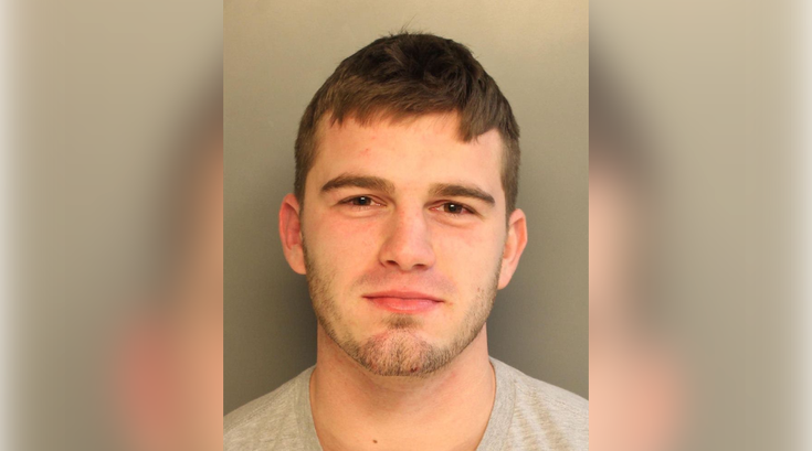 Man arrested after punching police horse