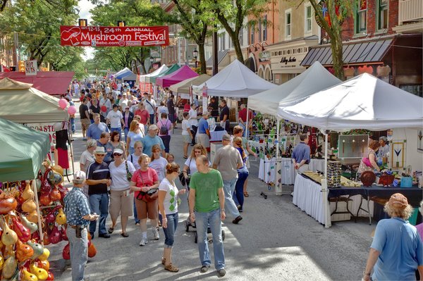Mushroom Festival