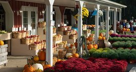 NJT_Fall2021_TK_Melick'sTownFarm_OldwickTAK00147.jpg