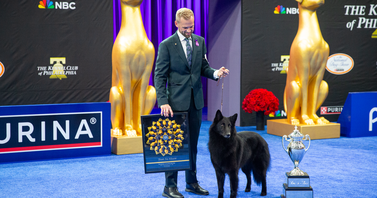 Thousands of dogs coming to Oaks for National Dog Show’s 25th anniversary Thousands of dogs coming to Oaks for National Dog Show’s 25th anniversary