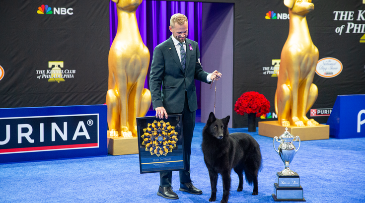 National Dog Show turns 25.png