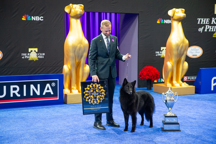 National Dog Show turns 25.png