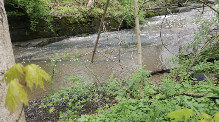 Neshaminy Creek drowning