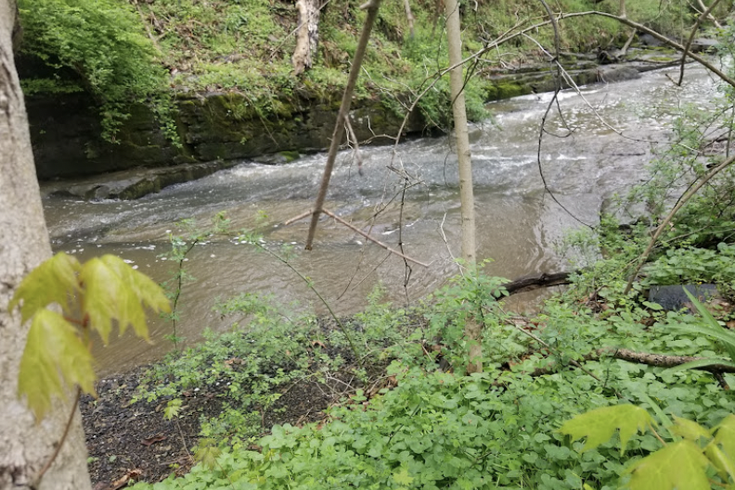 Neshaminy Creek drowning