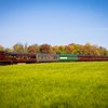New Hope Fall Foliage Excursion