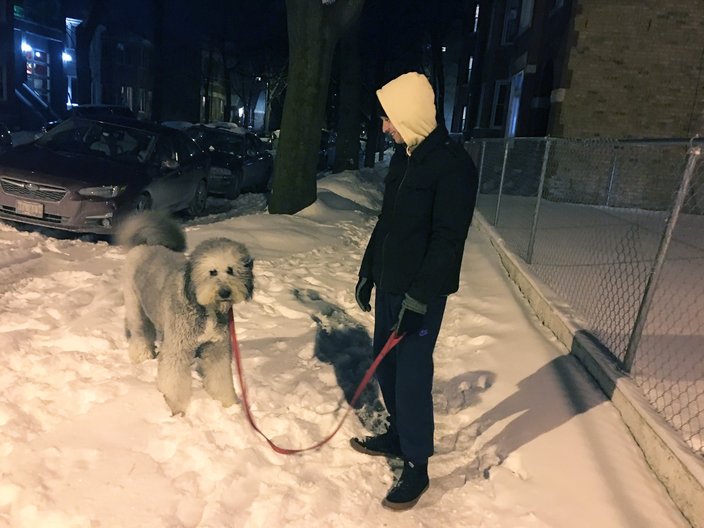 Winter dog walking