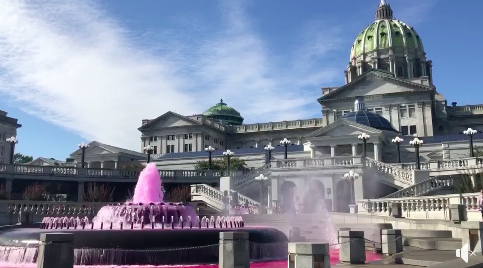 Pennsylvania Capitol Fountain Vandal