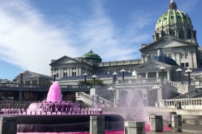 Pennsylvania Capitol Fountain Vandal