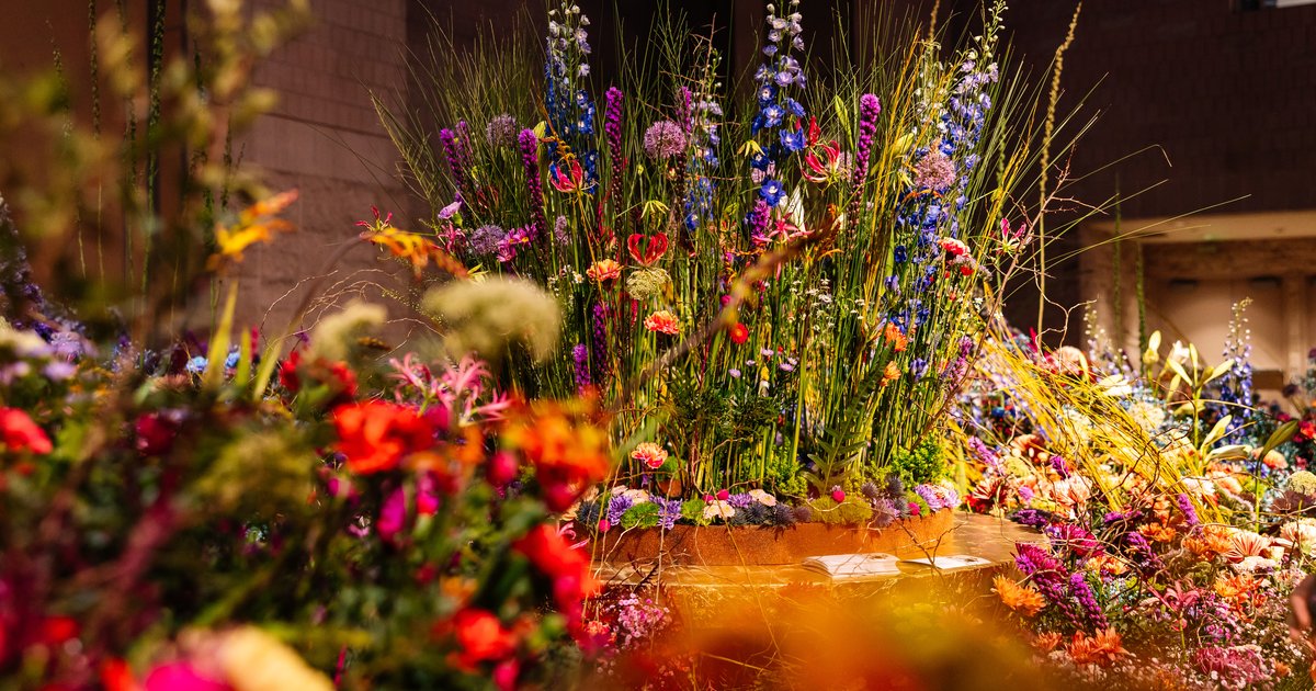 What to do in Philly this week and weekend What to do in Philly this week and weekend