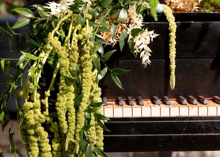 PHS Philadelphia Flower Show 2026_Credit Morgan Horell - 1 (1).jpg