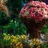 PHS Philadelphia Flower Show 2027 theme