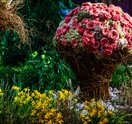 PHS Philadelphia Flower Show 2027 theme