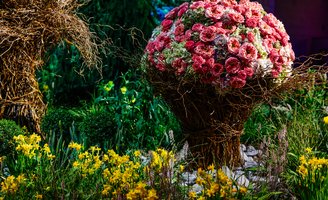 PHS Philadelphia Flower Show 2027 theme