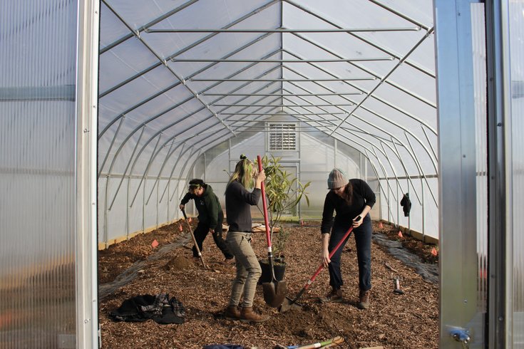 High Tunnel Orchard