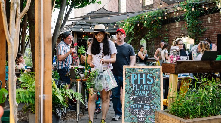 PHS Plant Swap Pop Up