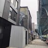 Pigeon mural