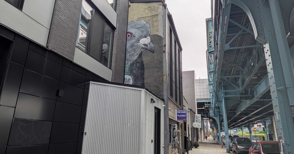 Pigeon mural in Fishtown to be repainted after being obstructed by new apartment building Pigeon mural in Fishtown to be repainted after being obstructed by new apartment building