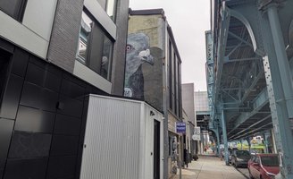 Pigeon mural