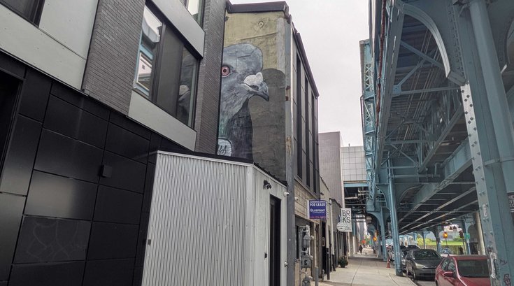 Pigeon mural