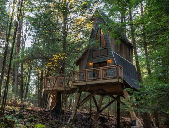 Limited - Clarion - Tree house