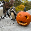 Philadelphia Zoo - Boo at hte Zoo 2025