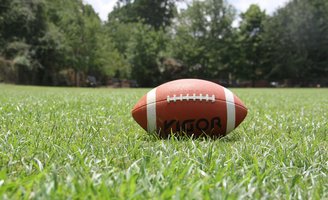 Penn Wood athletics