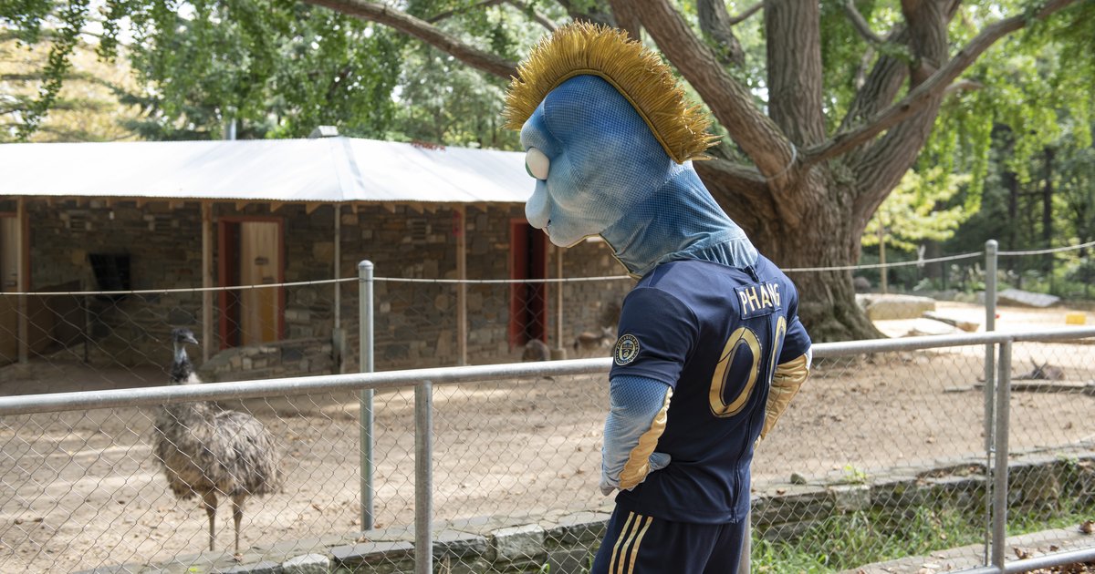 Philadelphia Union mascot 'Phang' hatches at zoo - Brotherly Game