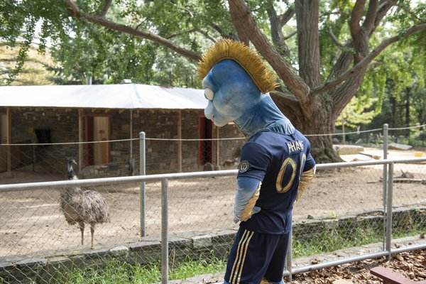 Philadelphia's MLS team introduces new mascot: An alleged snake with legs  and a mohawk