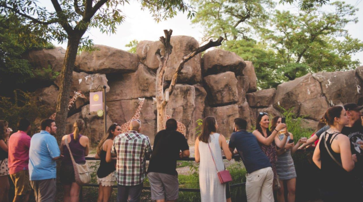 Ale Fest at Philadelphia Zoo