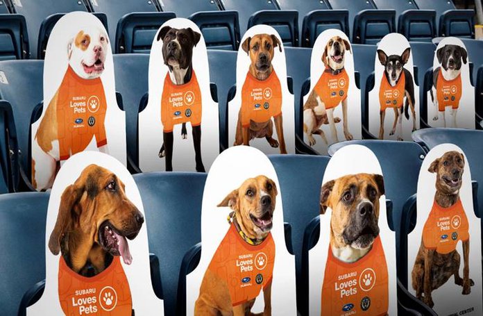 MLB Teams Welcome Cardboard Cutouts of Dogs, Cats in Stands