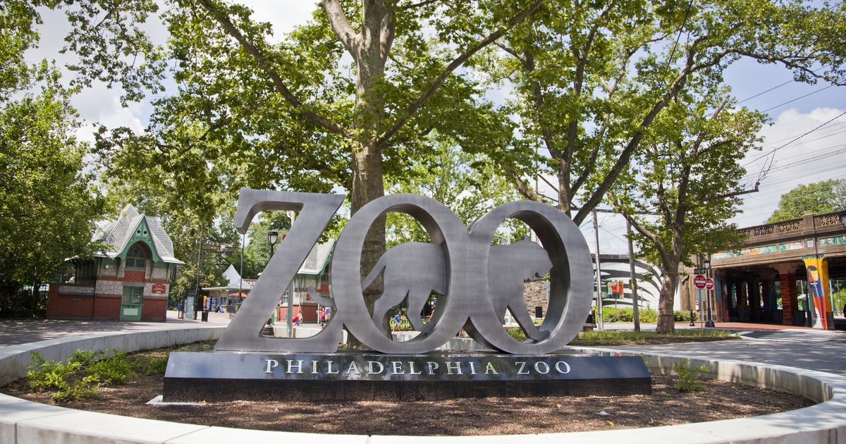 Run Wild for the Zoo: New 5K takes place in the Philadelphia Zoo