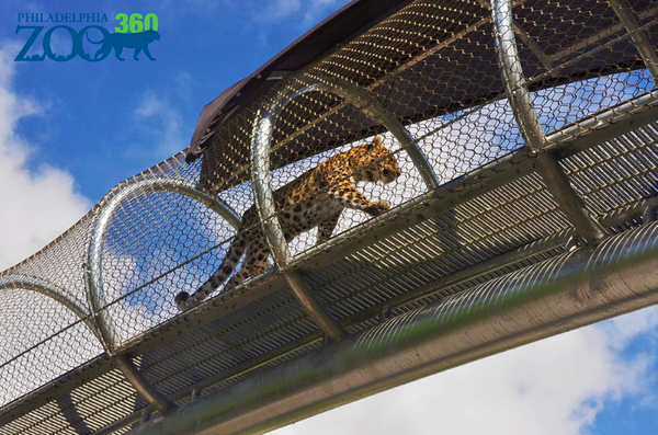 03192015_Zoo