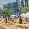 Limited - Center City District - Harvest Weekend Main