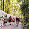 Limited - Mount Gretna - Main Image