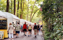 Limited - Mount Gretna - Main Image